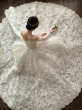 Elegant White Off-shoulder Lace Mesh Ball Gown Wedding Dress HZ1022