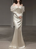 V Back Spliced Satin Long Sleeve Slash Neck Bodycon Prom Dress Birthday Outfits HZ1022