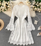 A Line Lace Long Sleeve Dress Fashion Dress HZ1022