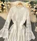 A Line Lace Long Sleeve Dress Fashion Dress HZ1022