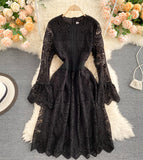 A Line Lace Long Sleeve Dress Fashion Dress HZ1022