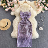 Vintage Spaghetti Straps Grape Sequin Dress Women Holiday Dress HZ1022