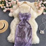 Vintage Spaghetti Straps Grape Sequin Dress Women Holiday Dress HZ1022