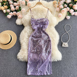 Vintage Spaghetti Straps Grape Sequin Dress Women Holiday Dress HZ1022