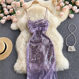Vintage Spaghetti Straps Grape Sequin Dress Women Holiday Dress HZ1022