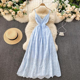 Sexy Spaghetti Straps Hot Lace Backless Dress Women Holiday Dress HZ1022