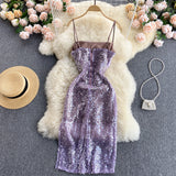 Vintage Spaghetti Straps Grape Sequin Dress Women Holiday Dress HZ1022