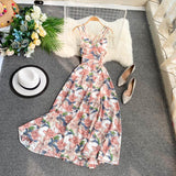 Sexy Spaghetti Straps Summer Backless Floral Dress Hot Women Dress HZ1022