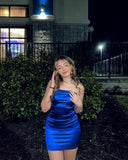 Simple Sheath Strapless Royal Blue Birthday Dresses Birthday Outfits HZ1022