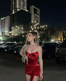 Simple Sheath Strapless Red Birthday Dresses Birthday Outfits HZ1022