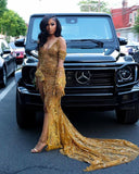 Mermaid Gold Sequin Long Black Girl Prom Dress Slit Formal Dress HZ1022
