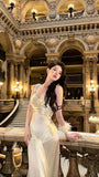 Vintage Champagne Prom Dress Mermaid Birthday Outfits HZ1022