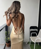 Sexy Sheath Straps Backless Champagne Prom Dresses Evening Dress HZ1022