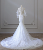 Elegant Mermaid Lace Beaded Tulle Wedding Dress HZ1022