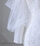 Elegant Mermaid Lace Beaded Tulle Wedding Dress HZ1022