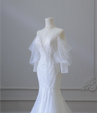 Elegant Mermaid Lace Beaded Tulle Wedding Dress HZ1022