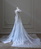 Shiny Blue Mermaid Rhinestone Lace Tulle Wedding Dress with Train HZ1022