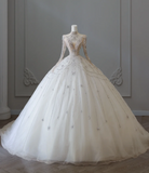 Glittering Rhinestone Long Sleeve Tulle A-Line Floor-Length Wedding Dress HZ1022