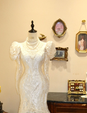Chic Vintage Mermaid Turtleneck Lace Long Sleeve Elegant Wedding Dress HZ1022