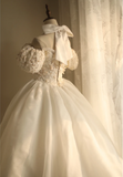 Princess Puff Sleeve Halter Neck Beaded Puff Wedding Dress HZ1022