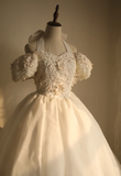 Princess Puff Sleeve Halter Neck Beaded Puff Wedding Dress HZ1022