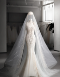 Shiny Mermaid Slim Tulle Sleeve Lace Wedding Dress HZ1022