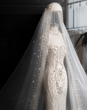 Shiny Mermaid Slim Tulle Sleeve Lace Wedding Dress HZ1022