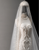 Shiny Mermaid Slim Tulle Sleeve Lace Wedding Dress HZ1022