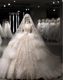 French Palace Champagne Gold Long Sleeve Lace Accordion Pleated Tulle Deep V Neck Wedding Dress HZ1022