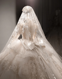 French Palace Champagne Gold Long Sleeve Lace Accordion Pleated Tulle Deep V Neck Wedding Dress HZ1022