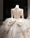 French Palace Champagne Gold Long Sleeve Lace Accordion Pleated Tulle Deep V Neck Wedding Dress HZ1022