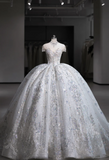 Starry Sky Sequin Lace Luxurious Fluffy Floor-Length Wedding Dress HZ1022