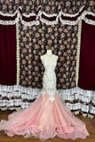 Vintage Mermaid Heavy Embroidery Beaded Pink Tulle Wedding Dress with Train HZ1022