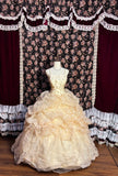Princess champagne color full body pattern pleated fluffy wedding dress HZ1022