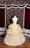 Princess champagne color full body pattern pleated fluffy wedding dress HZ1022