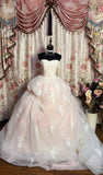 Princess Pink Strapless Lace Tulle Wedding Dress with Train HZ1022