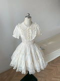 Princess doll collar heavy lace chest puff sleeve A-line homecoming dress HZ1022