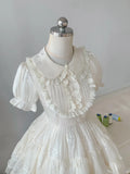 Princess doll collar heavy lace chest puff sleeve A-line homecoming dress HZ1022