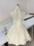 Halter neck V-neck lace sleeveless multi-layered skirt fungus lace homecoming dress HZ1022