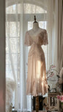 Elegant Pink V-neck Short-sleeved Chiffon Flowing Prom Dress HZ1022