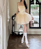Elegant Ballet Style Strapless Tulle A-Line Birthday Short Skirt Homecoming Dress HZ1022