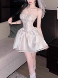 Princess Tutu French Tutu Waist Lace 17th Birthday Homecoming Dress HZ1022