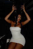 Sweet Pleated Tube Top Hip 21st Birthday Homecoming Dress HZ1022