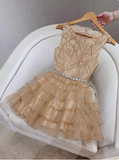 Elegant Round Neck Champagne Tulle Cake Birthday Short Skirt Homecoming Dress HZ1022