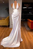 Elegant Halter V-Neck Mermaid Prom Dress 22th Birthday Outfits HZ1022