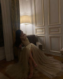 Sexy A Line Straps Champagne Tulle Prom Dress 22th Birthday Outfits HZ1022