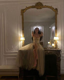 Sexy A Line Straps Champagne Tulle Prom Dress 22th Birthday Outfits HZ1022