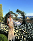 Glamorous A line V neckline Champagne long prom dress HZ1022