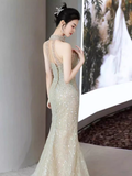 Luxury Mermaid Sequin Prom Dress Long Prom Dresses HZ1022