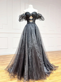 Black A-Line Organza Long Prom Dress HZ1022